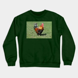 Colourful Cockerel Crewneck Sweatshirt